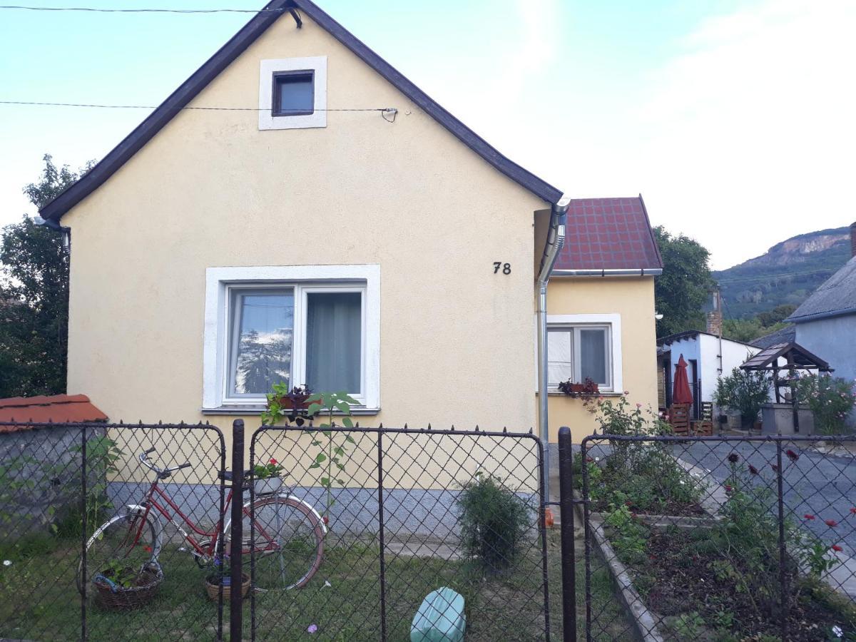 Kucko Apartman Badacsonytördemic 外观 照片